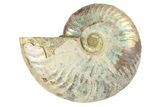 2.85" Silver, Iridescent Ammonite Fossil - Madagascar - #191902-1